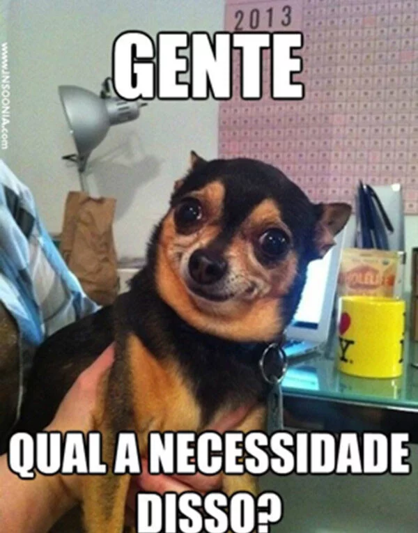 Pinscher Sorrindo Memesengracados Net