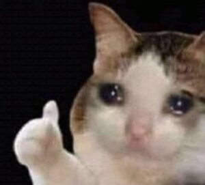 memes de gatos chorando